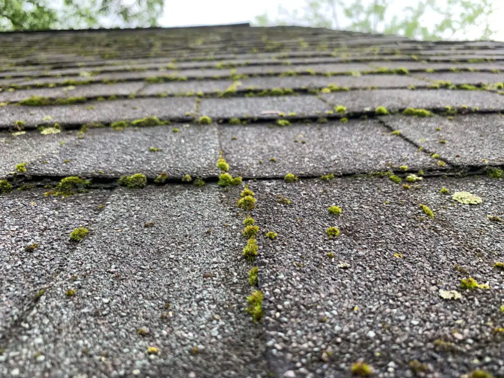 Why You Need Your Roof Cleaned Before Winter Liberty Power Wash | Cincinnati & Northern Kentucky Power Washing Experts.