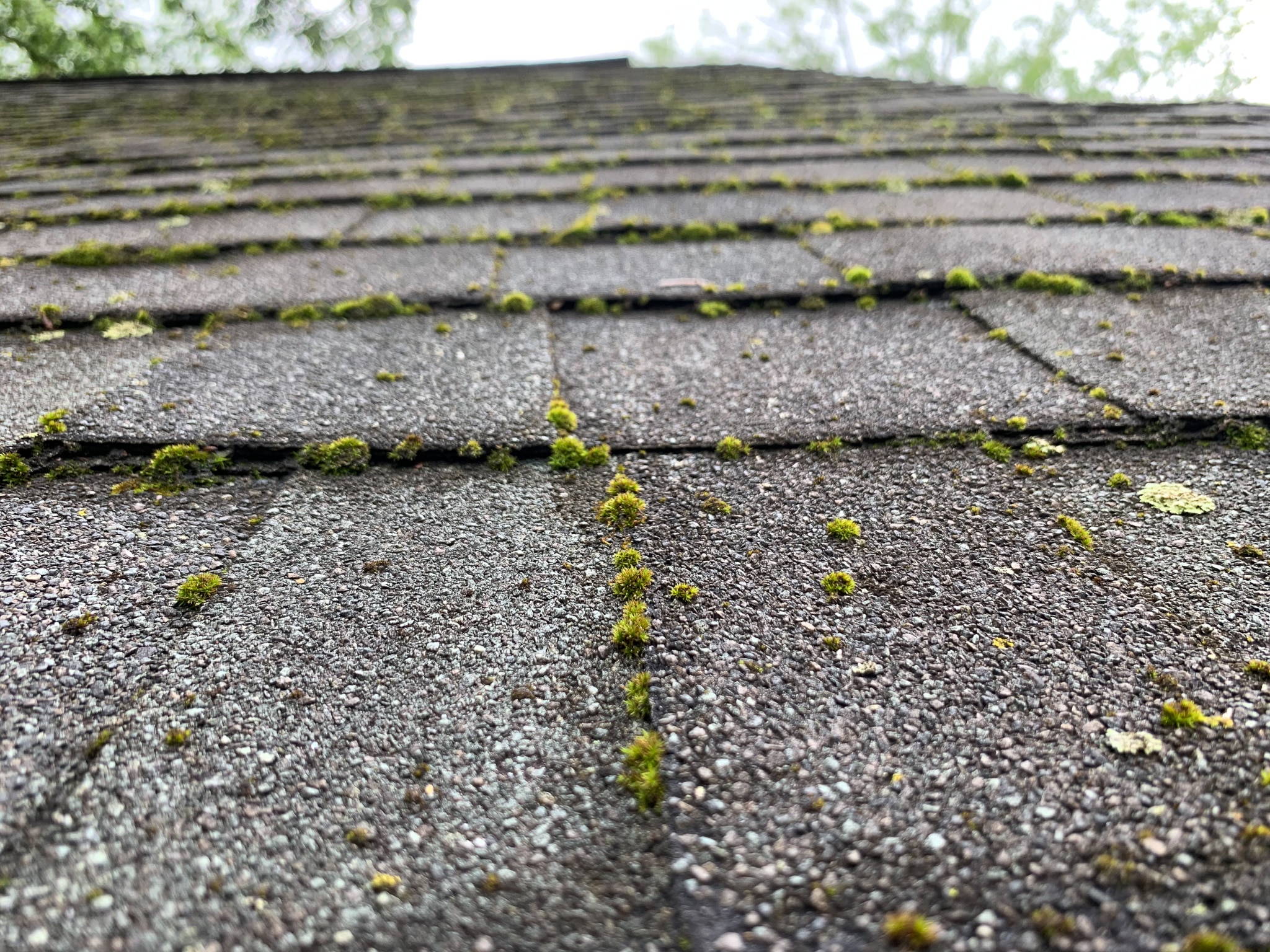 Liberty Power Wash | Cincinnati & Northern Kentucky Power Washing Experts.