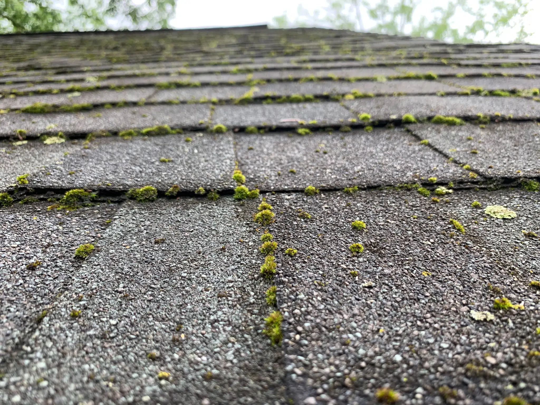 Blog Liberty Power Wash | Cincinnati & Northern Kentucky Power Washing Experts.