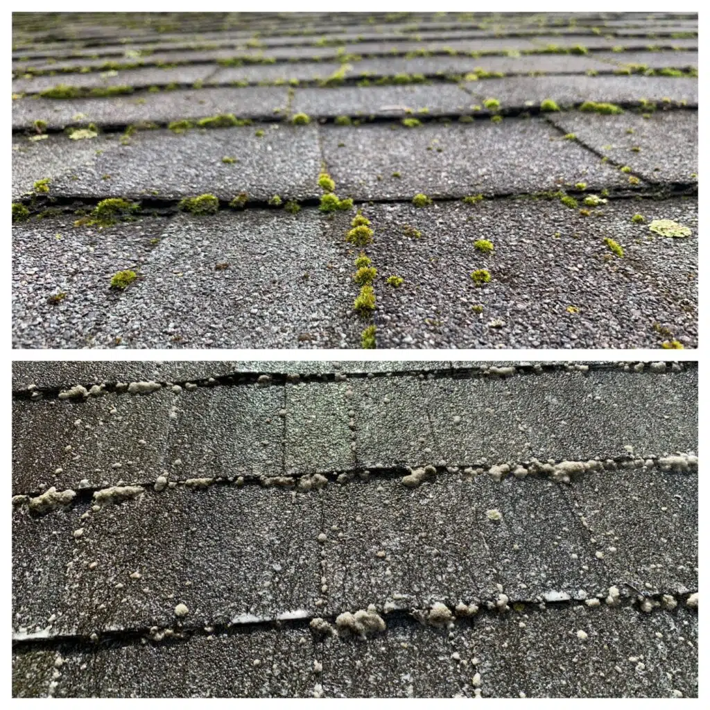 Why You Need Your Roof Cleaned Before Winter Liberty Power Wash | Cincinnati & Northern Kentucky Power Washing Experts.
