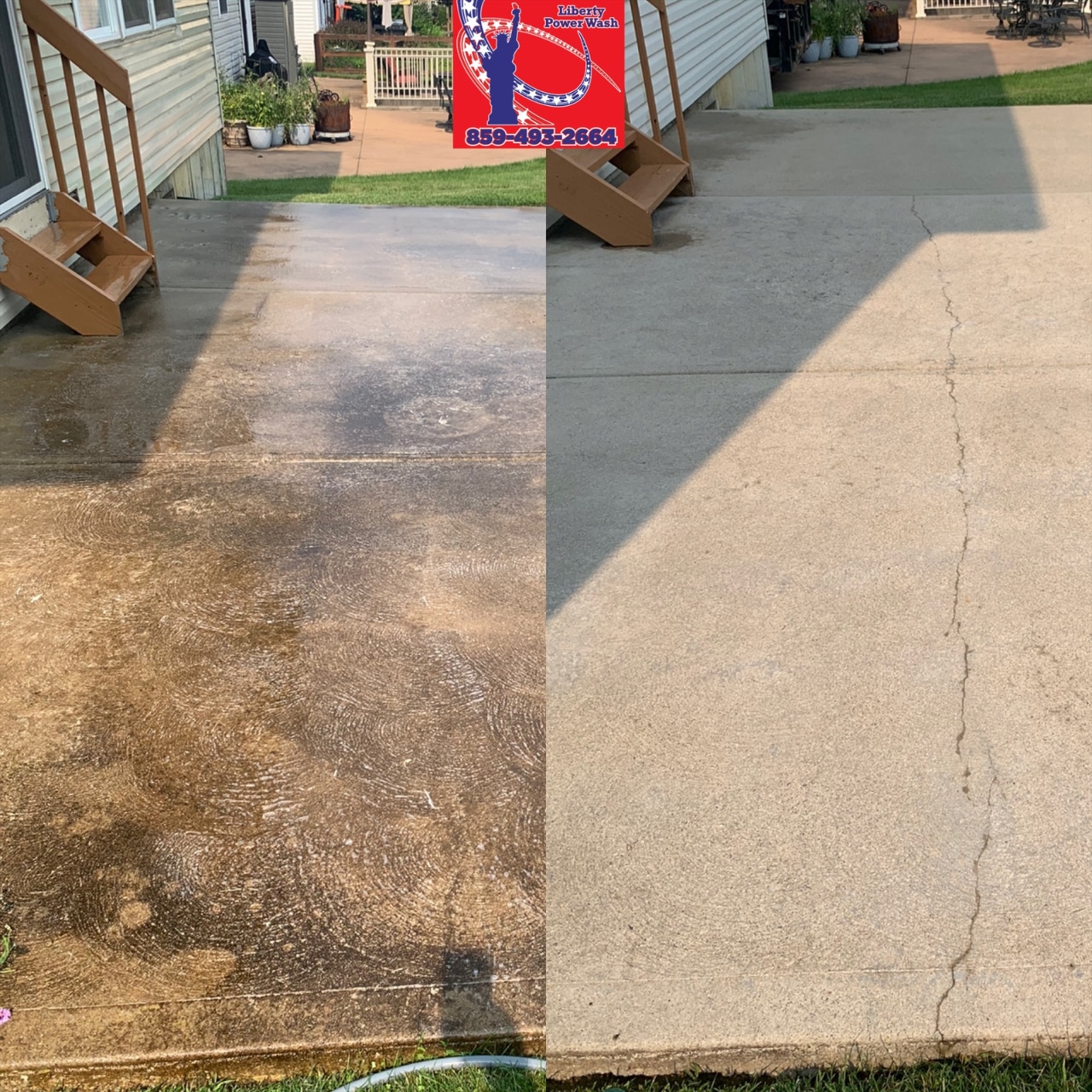 Mold On Concrete