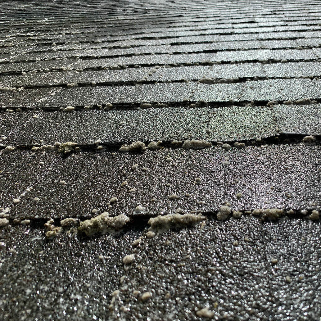 Liberty_Roof1