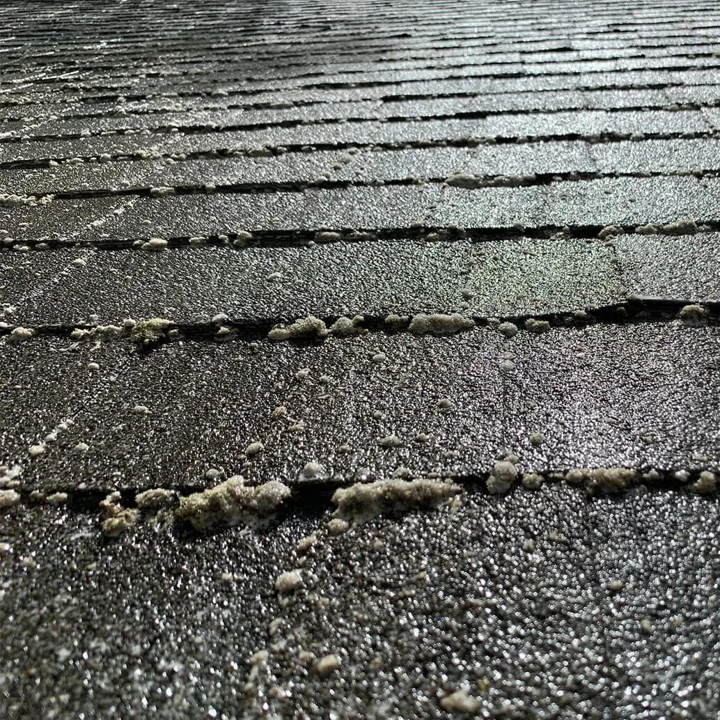 Roof Cleaning Liberty roof1 in Walton, KY