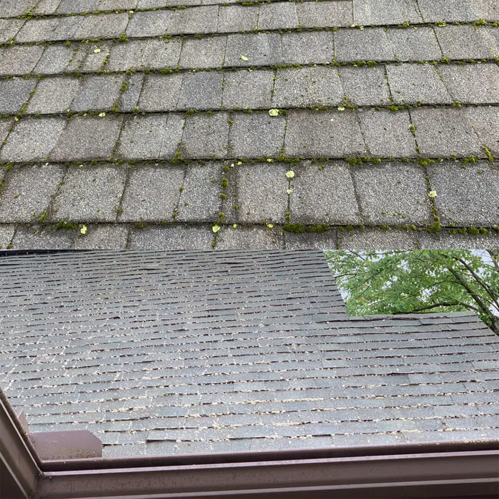 roof cleaning services in Covington, KY