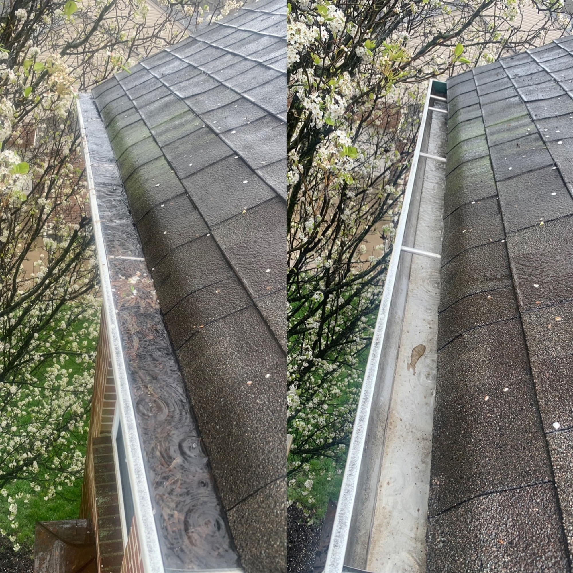 Gutter Cleaning_2