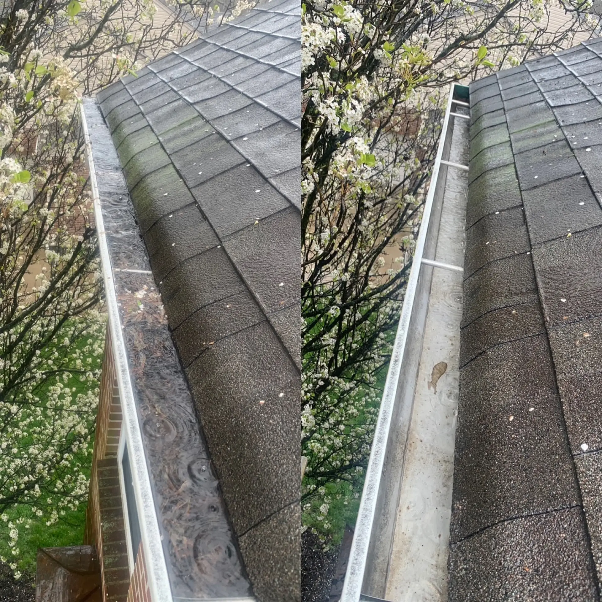 Gutter Cleaning Gutter cleaning in Covington, KY