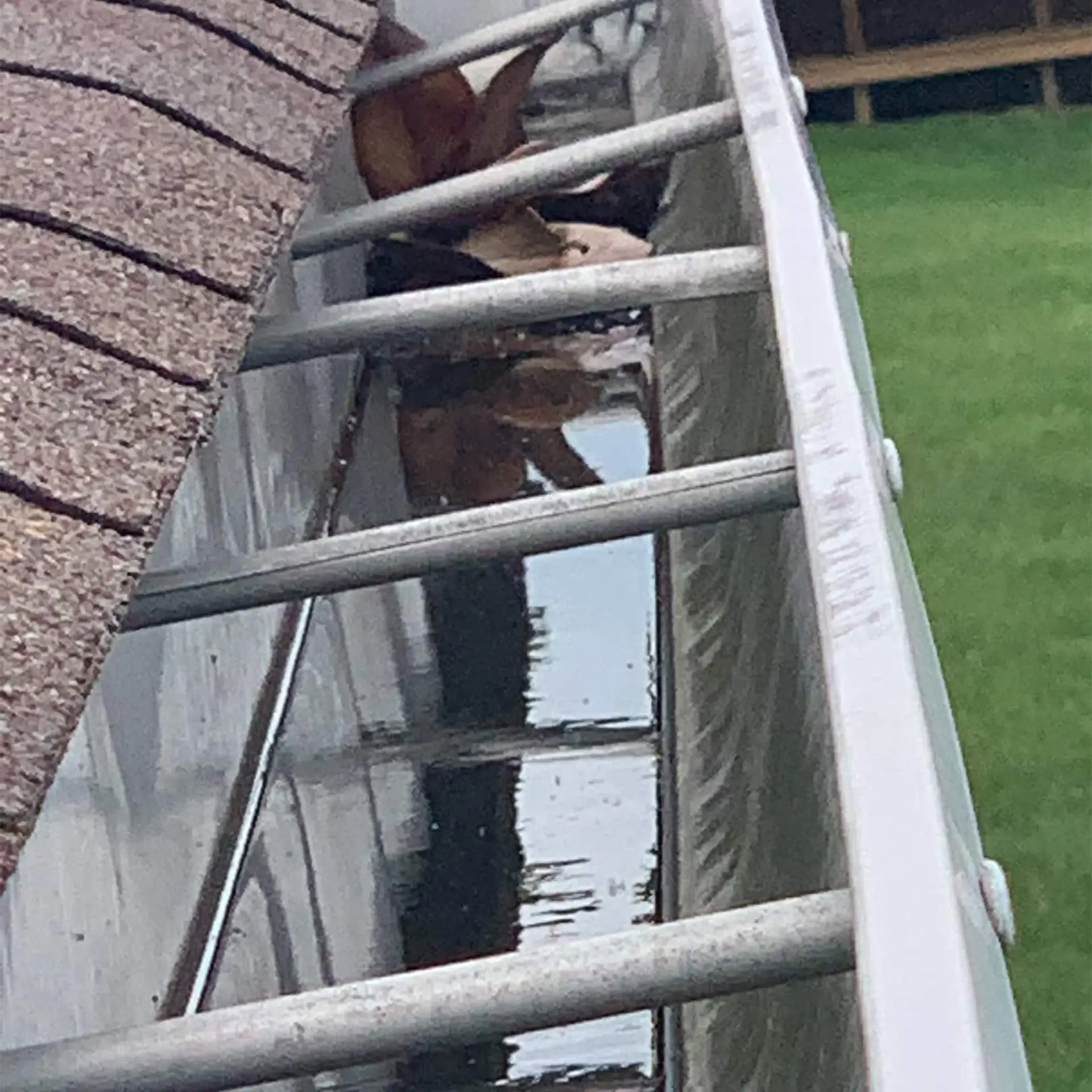 Gutter Cleaning in Oakbrook, KY Gutter cleaning and maintenance Liberty Power Wash