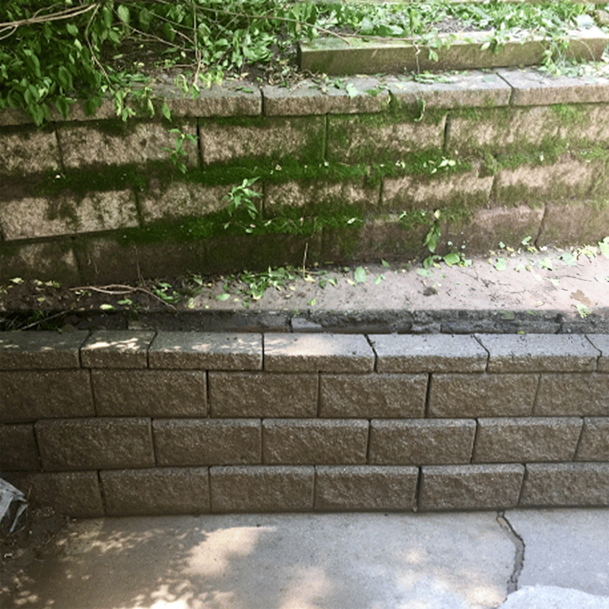 Retaining Wall Cleaning_1
