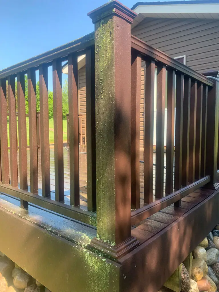 Boost Your Home’s Curb Appeal with Mold Removal Services Moldy fence post before cleaning - severe mold and mildew buildup