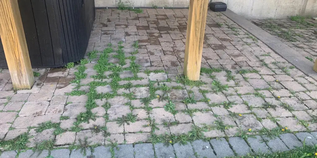 Top 5 Benefits of Power Washing for Kentucky Homeowners Top 5 Benefits of Power Washing for Kentucky Homeowners