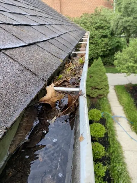 Gutter Cleaning Clogged gutter full of leaves, debris, and standing water before cleaning in Cincinnati, OH