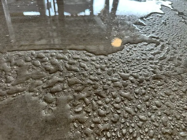 Water beading on freshly sealed concrete showing sealer protection in Villa Hills, KY